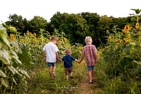 Image 3 of 2026 Sunflower Farm Minis • RETAINER PAYMENT
