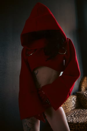Image of Toxic Vision Heartbreaker hooded crop sweater