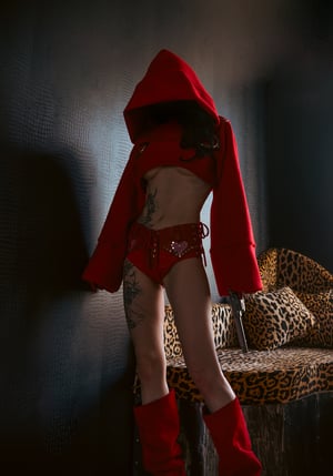 Image of Toxic Vision Heartbreaker hooded crop sweater