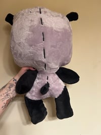 Image 4 of Lavender  Gir Gibbie