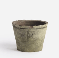 Image 1 of Daisy Grey Pot