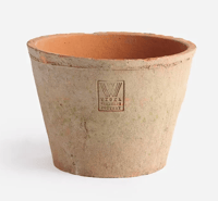 Image 3 of Daisy Terracotta Pot