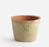 Image 1 of Daisy Terracotta Pot