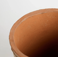 Image 3 of Pansy Terracotta Pot