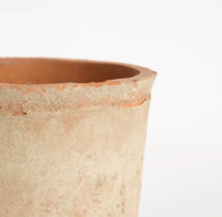 Image 2 of Pansy Terracotta Pot
