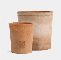 Image 1 of Pansy Terracotta Pot
