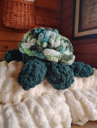 Image 4 of Turtle video tutorial and PDF 
