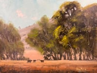 Image 1 of Dry Paddocks, Mudgee