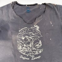 Image 2 of Vintage Stormy Sufferin' Springs T-Shirt