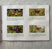 Image 2 of Butterflies and Moths picture cards coplete set