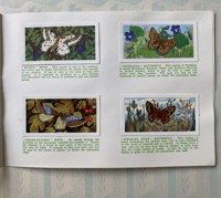 Image 4 of Butterflies and Moths picture cards coplete set