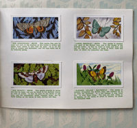 Image 3 of Butterflies and Moths picture cards coplete set