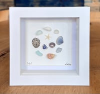 Sea treasure circle 