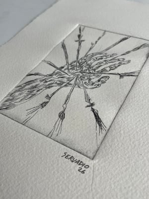 VECTORS OF THE HAND
