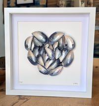 Mussel shell heart