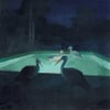 Nocturnal Animals VI