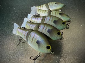 Image of Lil Ol’ Ann (Lonestar Gill)