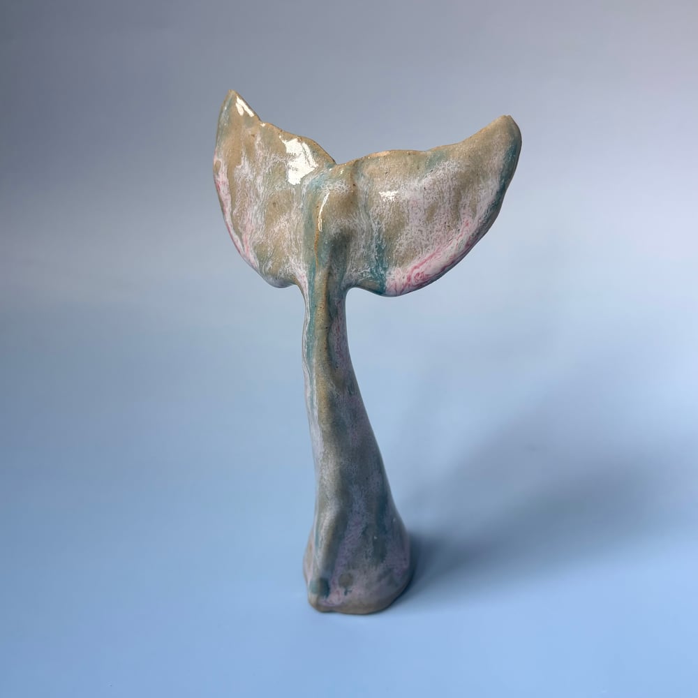 Image of Mediterranean Whale Fin