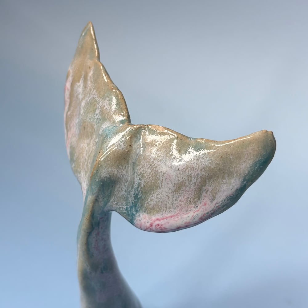 Image of Mediterranean Whale Fin