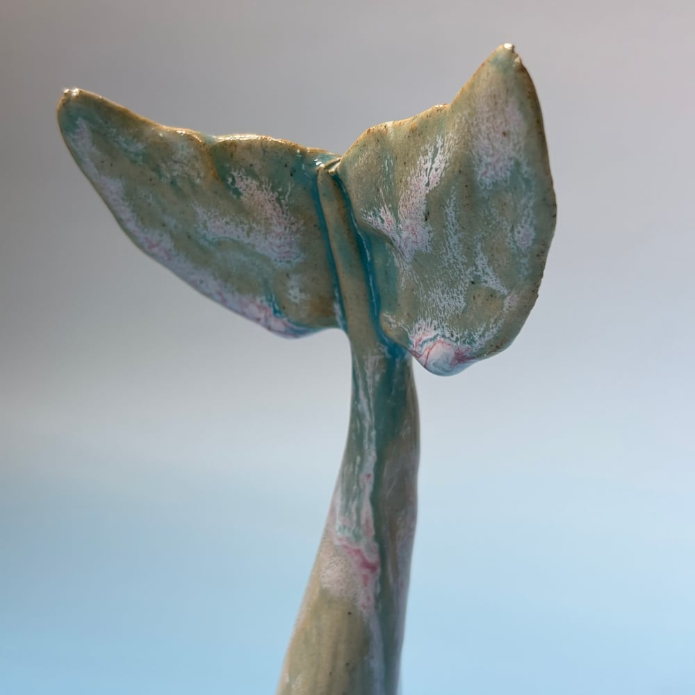 Image of Mediterranean Whale Fin