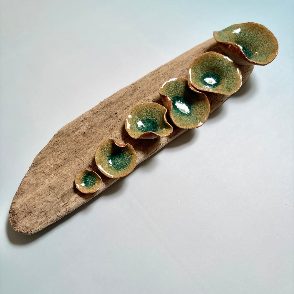 Image of Lilly pad wall sculpture