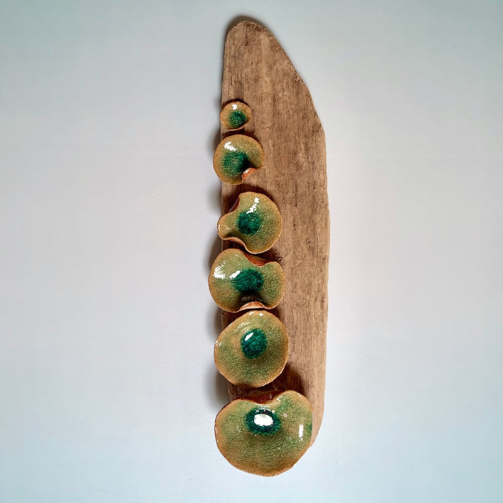 Image of Lilly pad wall sculpture