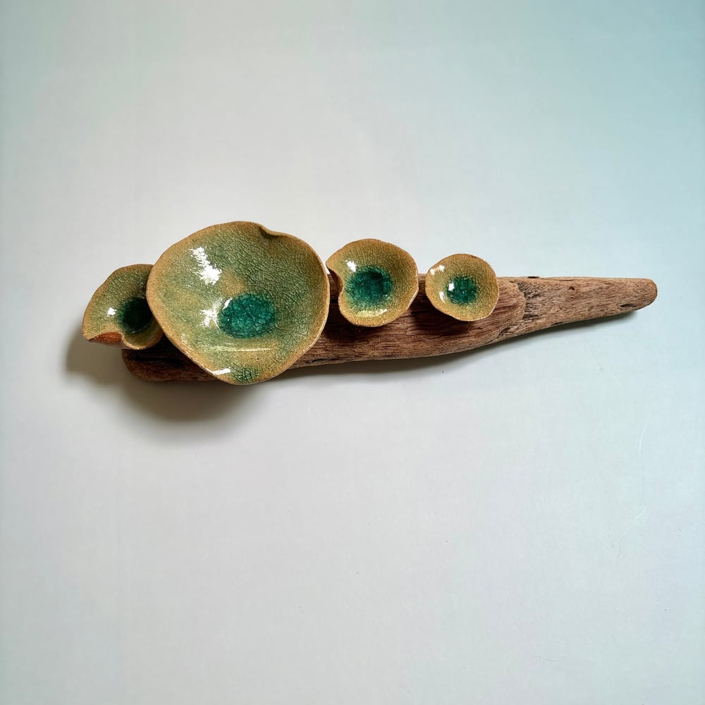 Image of Lilly pad wall art
