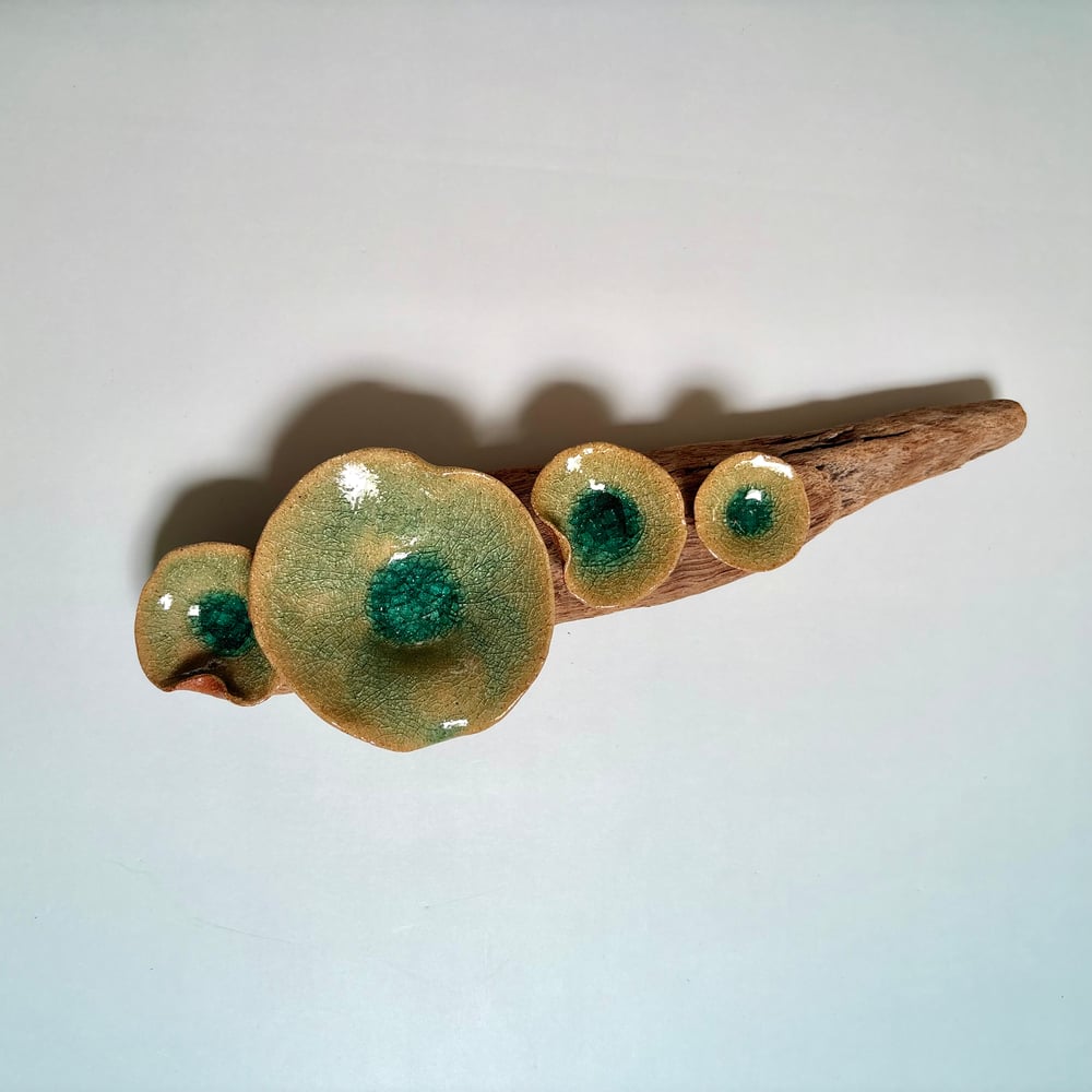 Image of Lilly pad wall art