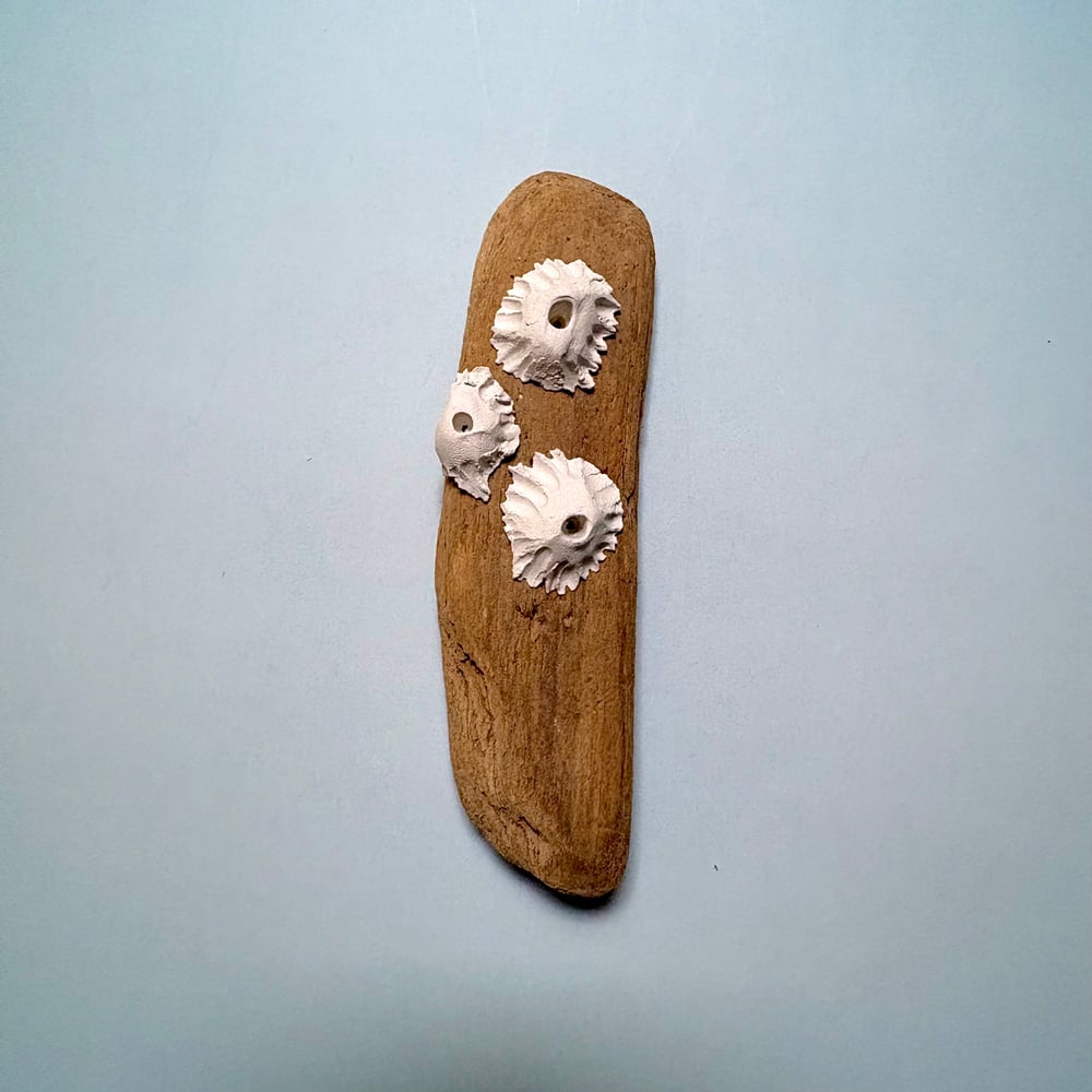 Image of Trio of barnacles wall piece