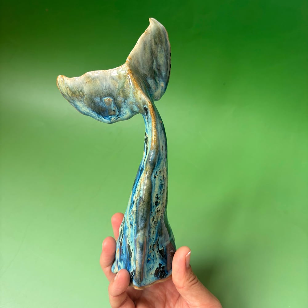 Image of Atlantic Whale Fin 