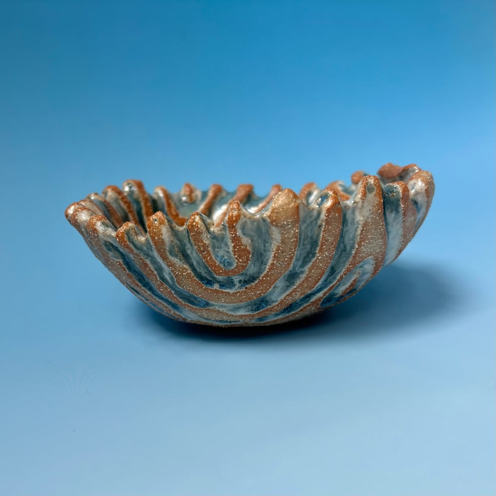Image of Calm Ocean dish 