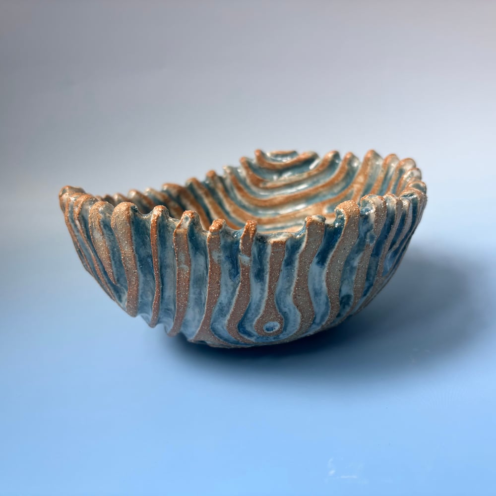 Image of Large Ocean dish 