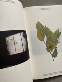 Image 6 of WS118 Asiat Park by Johanna Bendlin, Gianni Villa