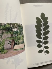 Image 2 of WS118 Asiat Park by Johanna Bendlin, Gianni Villa