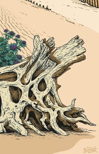 Image 3 of Affiche LES LANDES #5