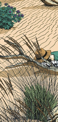 Image 4 of Affiche LES LANDES #5