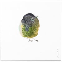 Bird 55