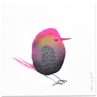 Bird 63