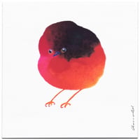 Bird 67 