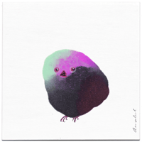Bird 65 