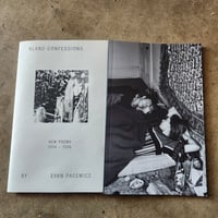PALE CATHEDRALS - EVAN PACEWICZ POEMS