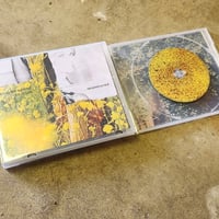 Image 2 of Rosaline Sørine + Ex Jesus - Reconstructed 3" CDr
