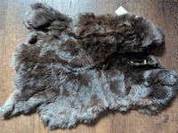 Image 1 of Black Beveren Back Pelt
