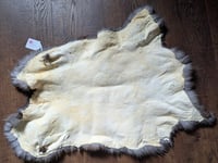 Image 2 of Black Beveren Back Pelt