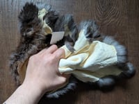 Image 3 of Black Beveren Back Pelt