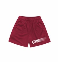 Maroon Motion