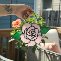 Detailed Pink Rose (Iridescent)