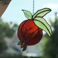 Pomegranate