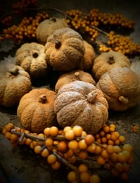 Big Beeswax Pumpkins
