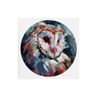 Barn Owl Art Print